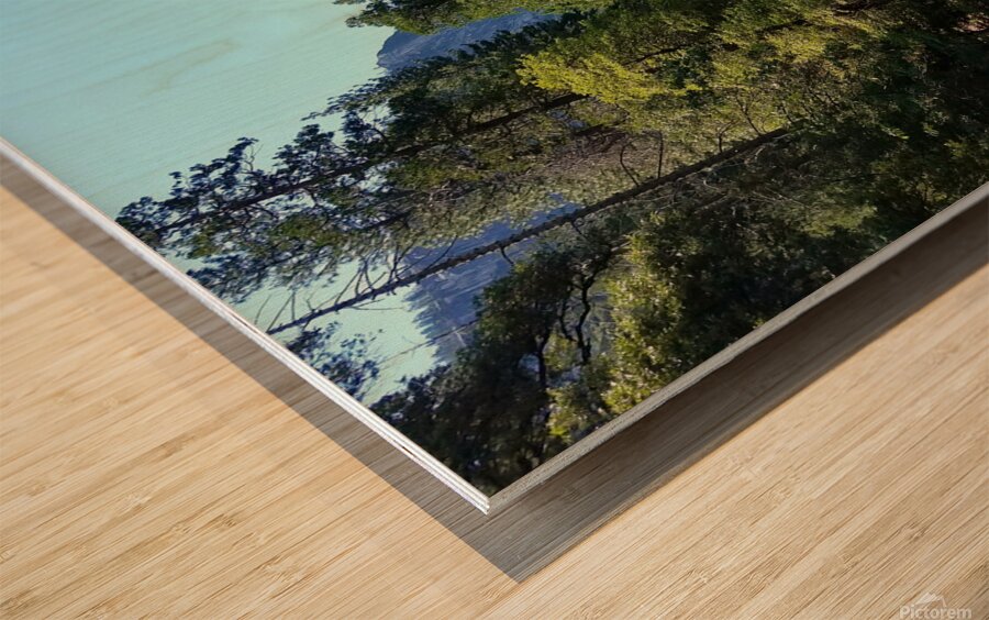 Yosemite 2 Wood print