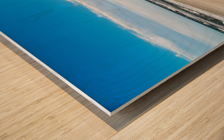 Paradise on Earth Wood print