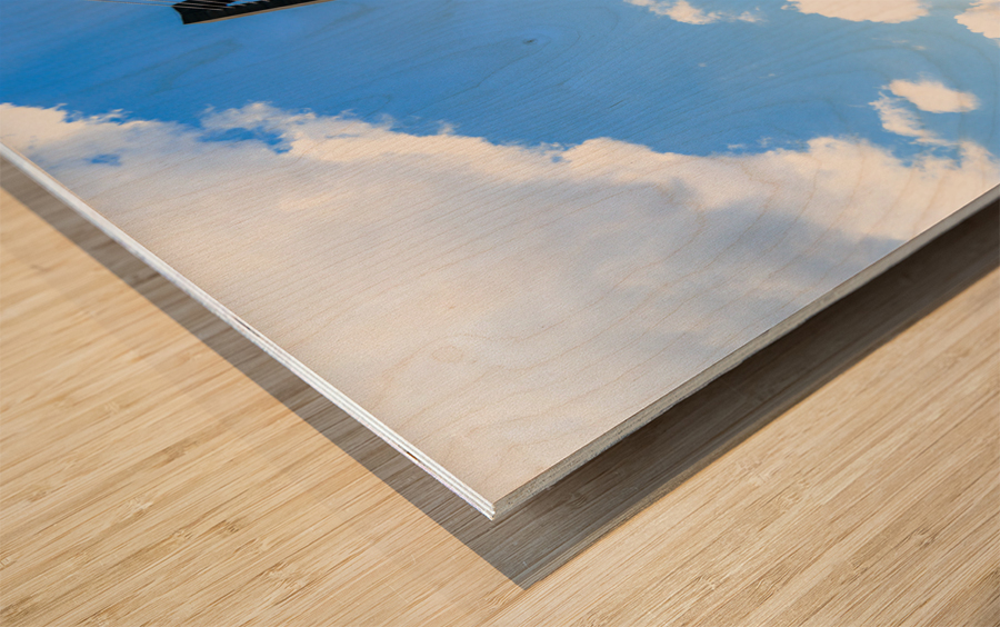 Modern Day Wonder Wood print