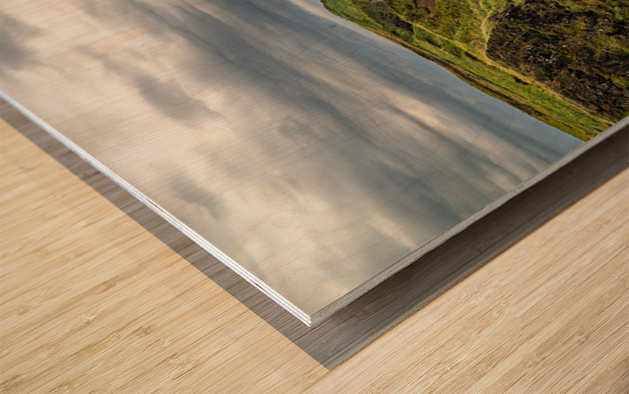 Moody Ireland Wood print