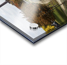 Canal View Acrylic print