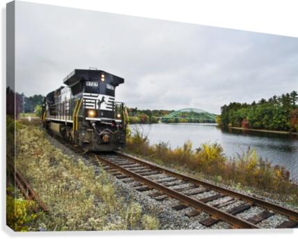 8727 Heading South   Canvas Print