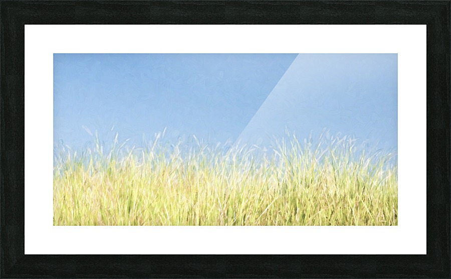 Dune Grass  Picture Frame print