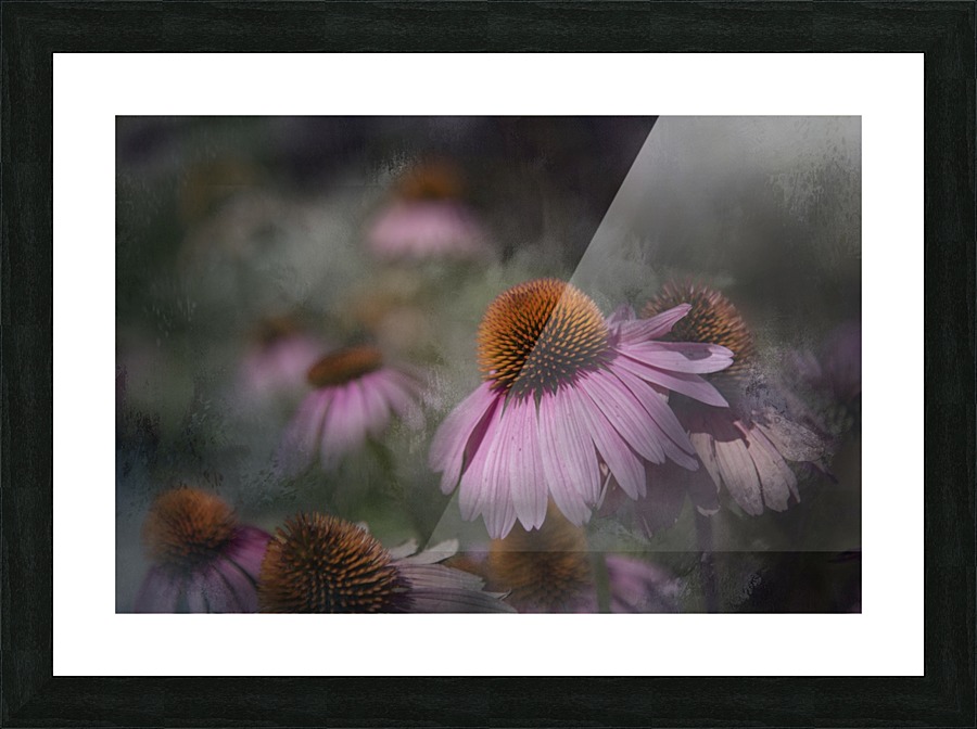 Purple Cones   Picture Frame print