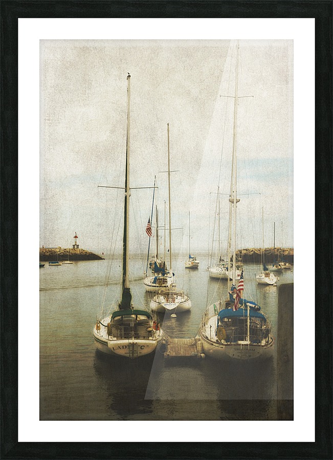 Lying in Wait  Picture Frame print