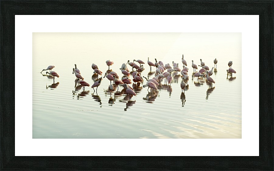 Evening Get Together Picture Frame print