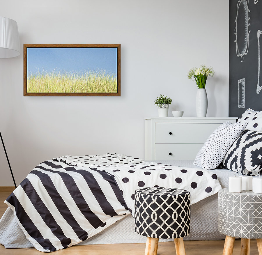 Dune Grass  Reproduction