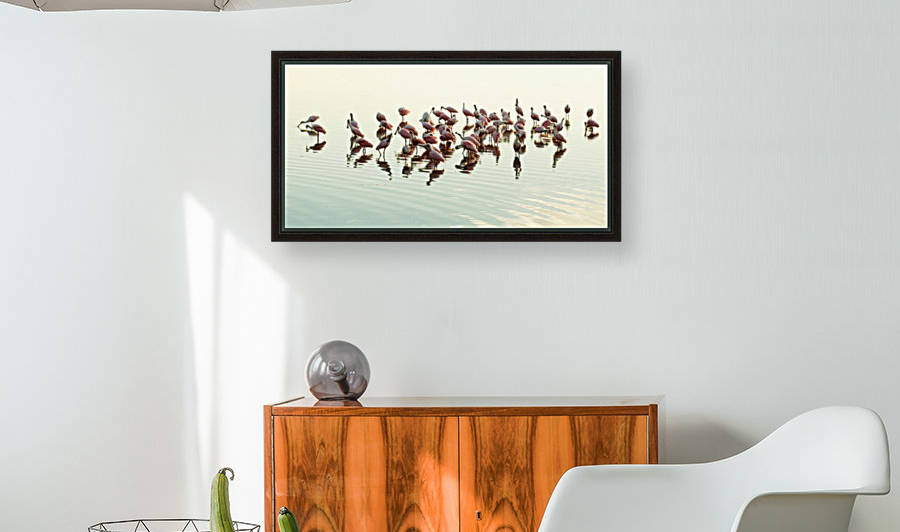 Roseate Gathering  by Lee Fortier
