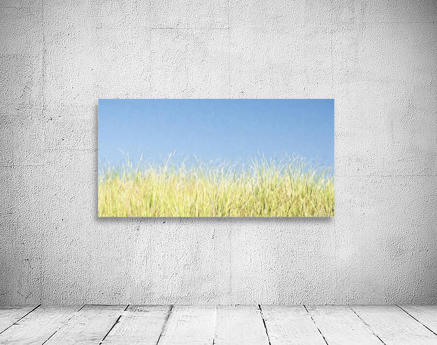 Dune Grass  Wall Preview