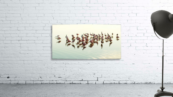 Roseate Gathering  Wall Preview