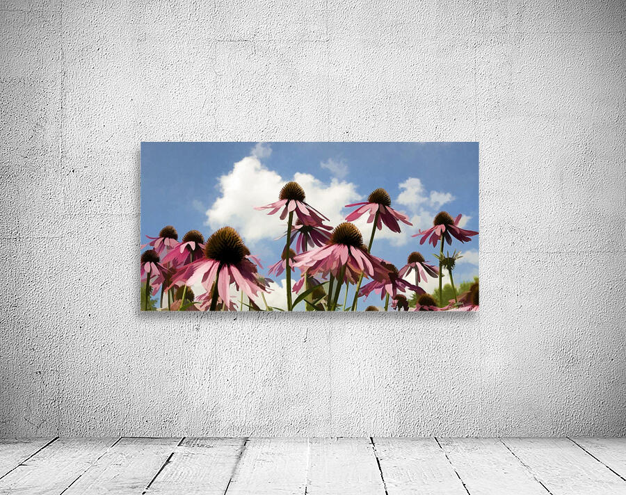 Coneflowers Wall Preview
