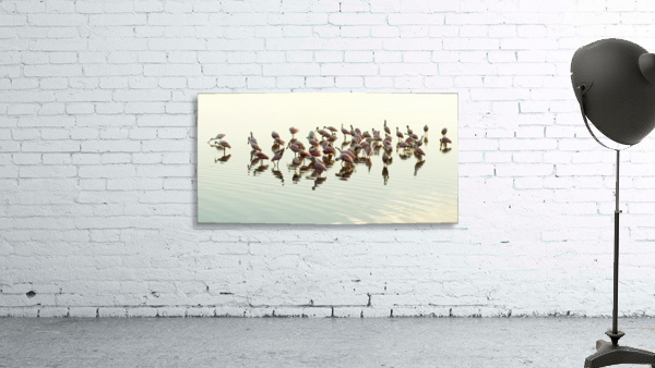 Evening Get Together Wall Preview