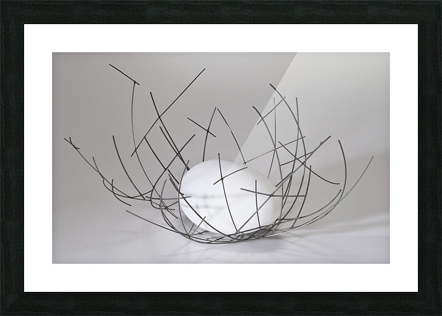 nest1 Picture Frame print
