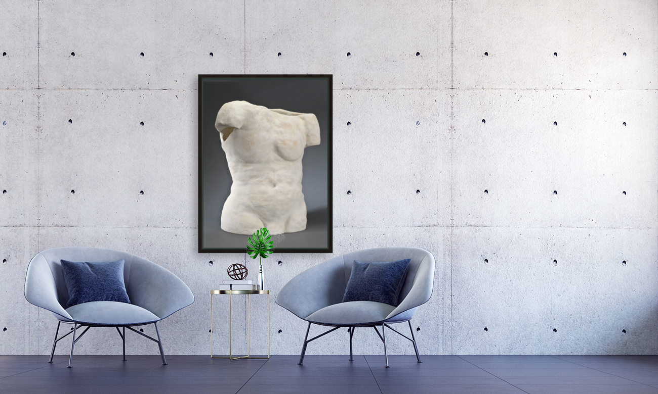MaleTorso Reproduction