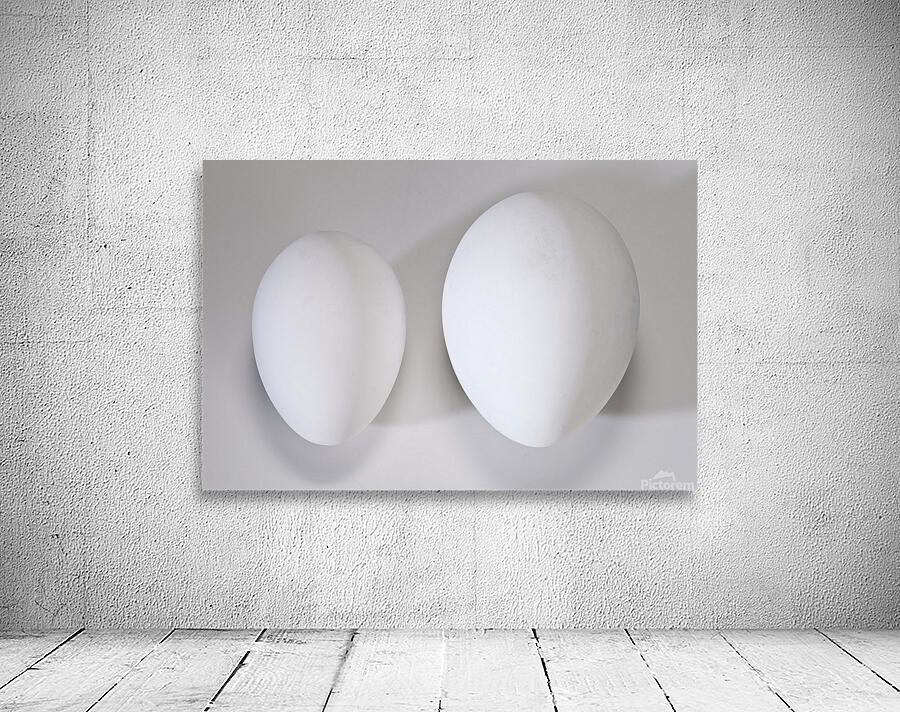 2Eggs Wall Preview