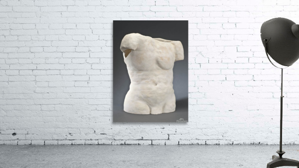MaleTorso Wall Preview