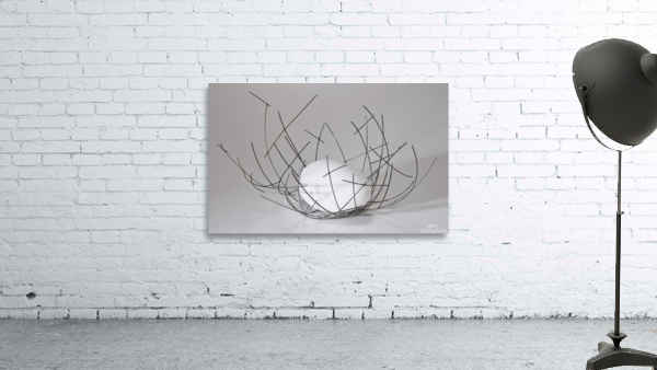 nest1 Wall Preview