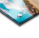 Boston Terrier Dog  Acrylic print