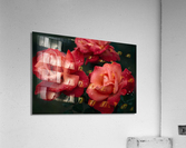 Roses Are Red  Acrylic Print