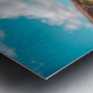 Boston Terrier Dog  Metal print