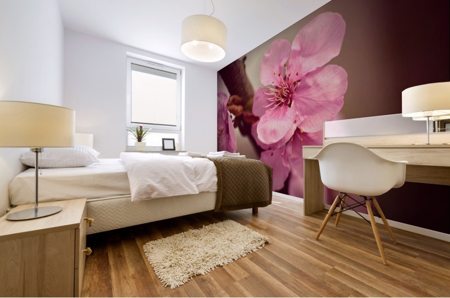 Cherry Blossom Flower Mural print
