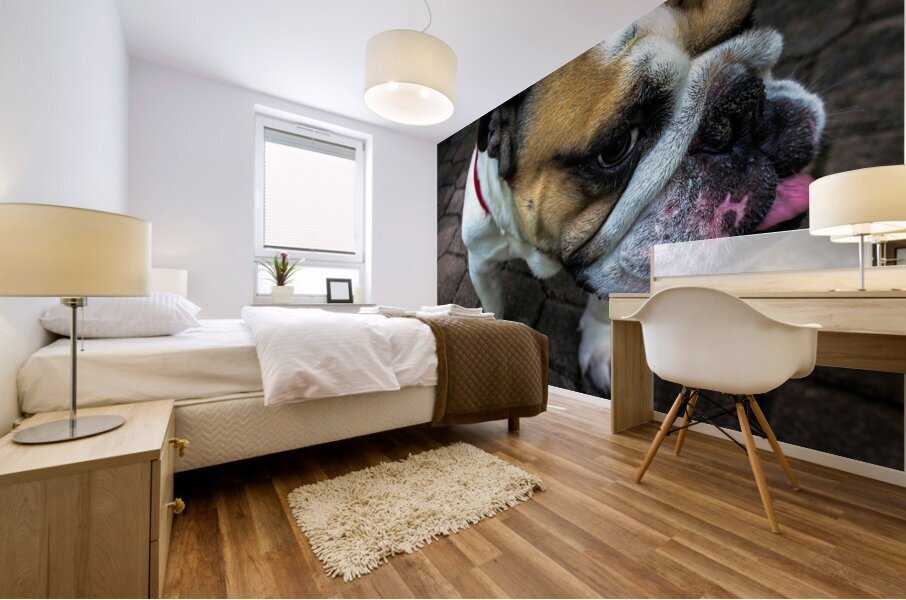 Bulldog Mural print
