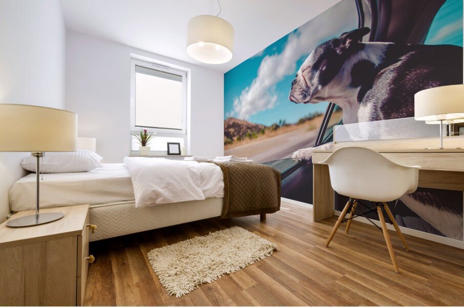 Boston Terrier Dog  Mural print