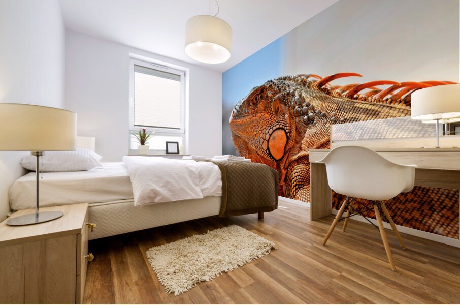 Iguana Mural print