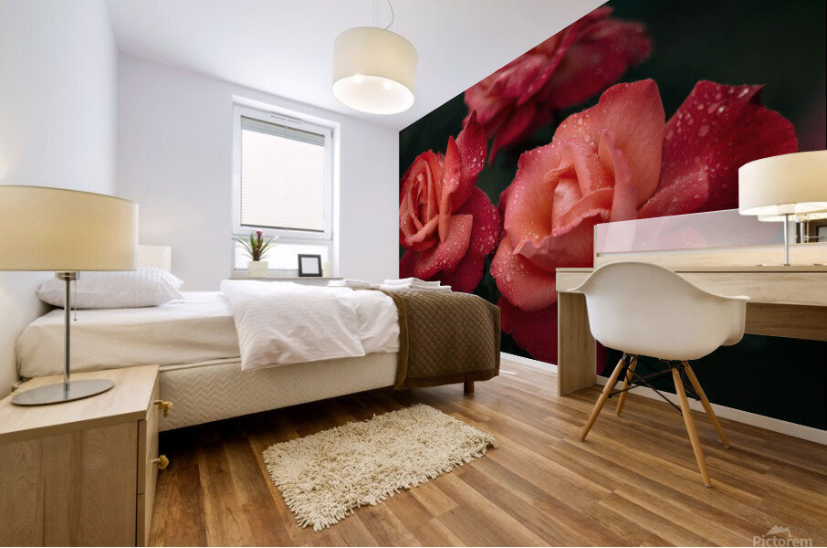 Roses Are Red  Mural print