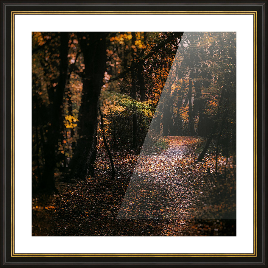 Forest 2_OSG Picture Frame print