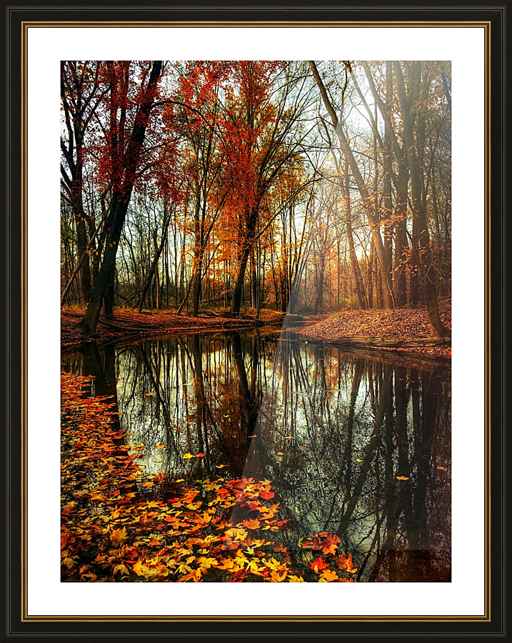 Autumn 04_OSG Picture Frame print