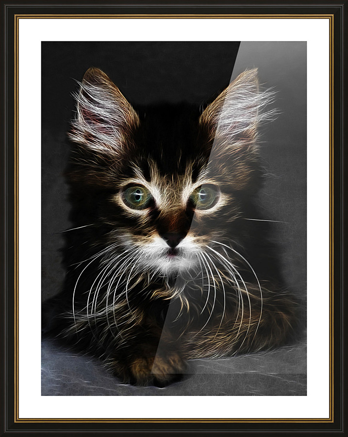 CUTE KITTEN_OSG Picture Frame print