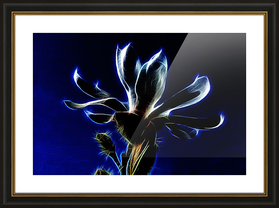  Fine Art print