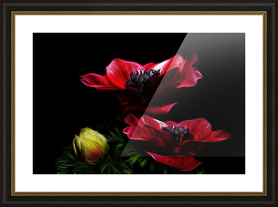  Fine Art print