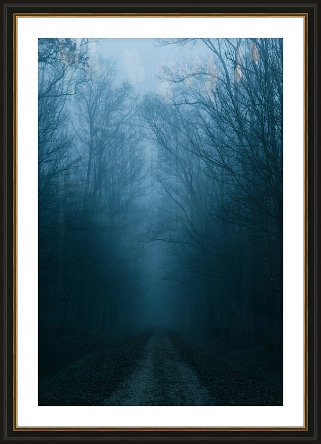 Creepy Eerie Cold Woods Picture Frame print