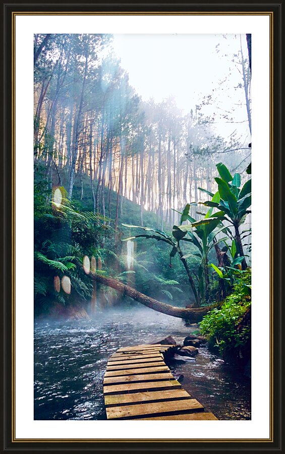 Jungle River Picture Frame print