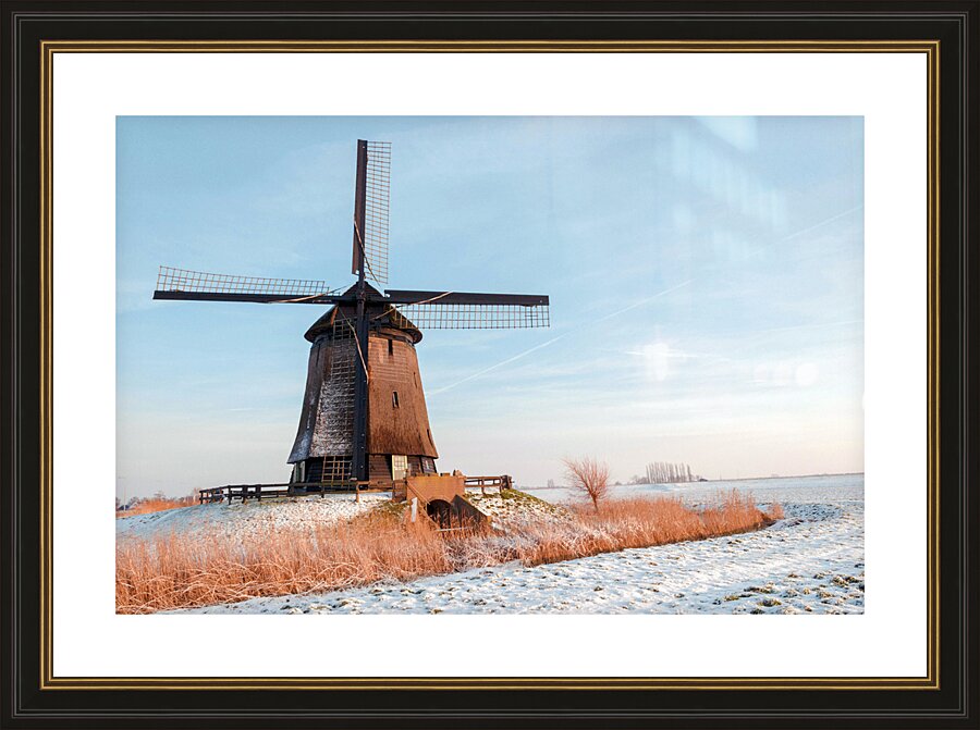  Fine Art print