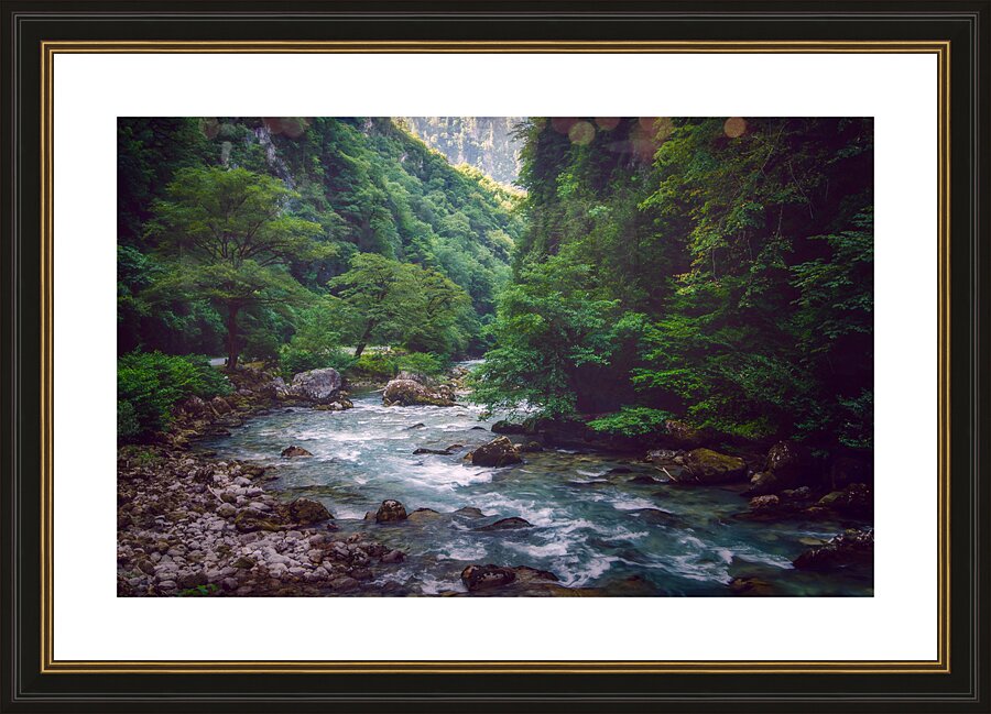  Fine Art print