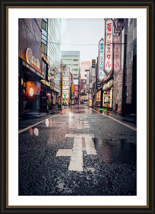  Fine Art print