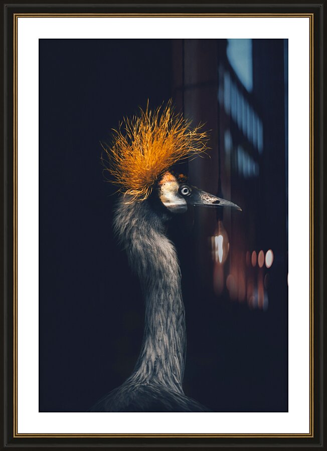 Crowned Crane Picture Frame print