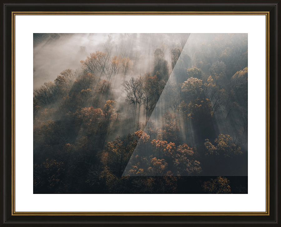 Forest Light Ray Picture Frame print