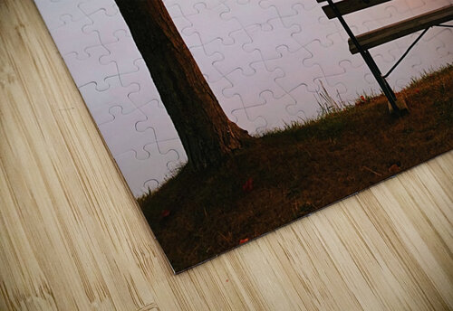 Bench 1_OSG One Simple Gallery puzzle