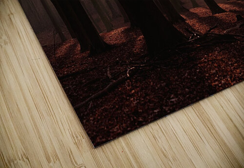 Forest 1_OSG One Simple Gallery puzzle