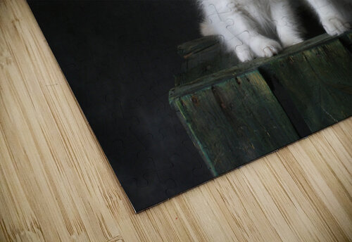 CUTE KITTENS One Simple Gallery puzzle