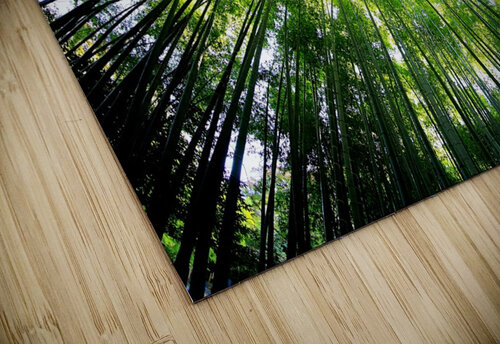Bamboo Forest_OSG One Simple Gallery Casse tête
