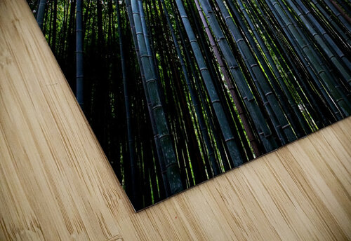 Looking Up 01_OSG One Simple Gallery puzzle