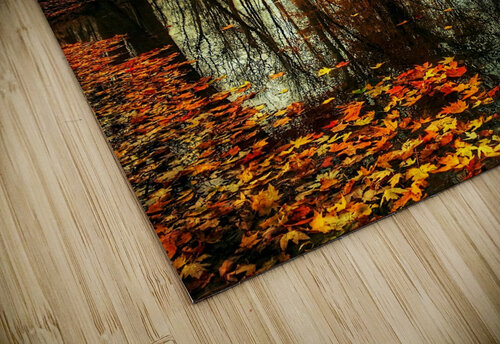 Autumn 04_OSG One Simple Gallery puzzle