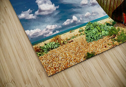 BOAT 01_OSG One Simple Gallery puzzle