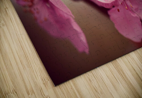 Cherry Blossom Flower One Simple Gallery puzzle