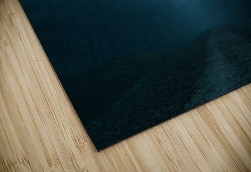 Creepy Eerie Cold Woods One Simple Gallery puzzle